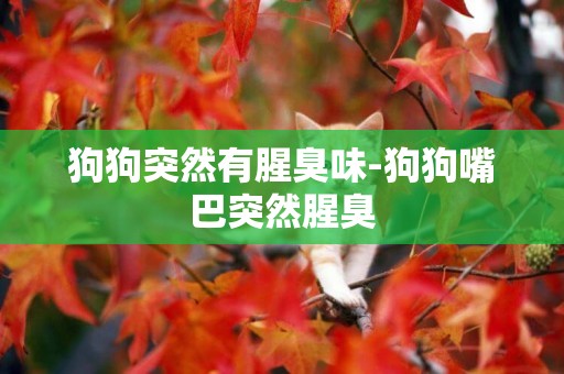 狗狗突然有腥臭味-狗狗嘴巴突然腥臭