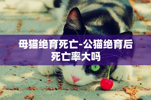母貓絕育死亡-公貓絕育后死亡率大嗎