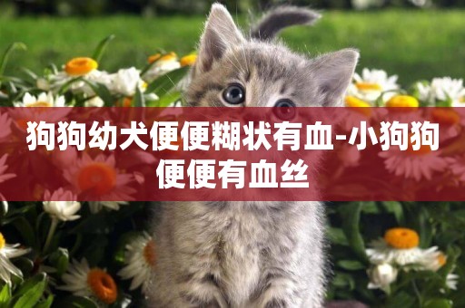 狗狗幼犬便便糊狀有血-小狗狗便便有血絲