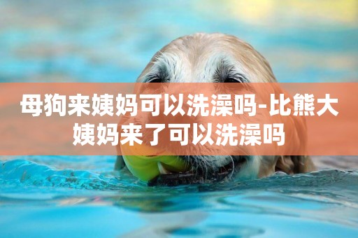 母狗來姨媽可以洗澡嗎-比熊大姨媽來了可以洗澡嗎
