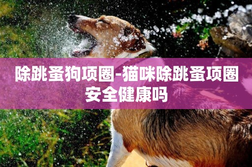 除跳蚤狗項圈-貓咪除跳蚤項圈安全健康嗎