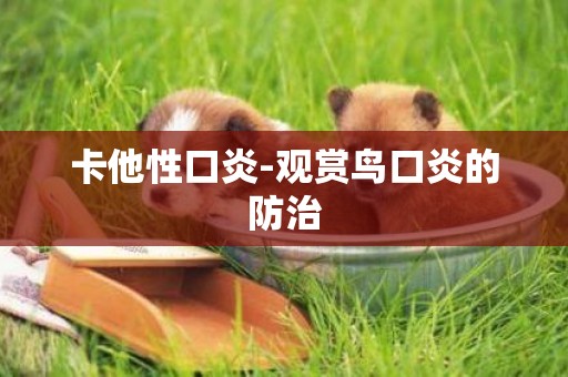 卡他性口炎-觀賞鳥口炎的防治