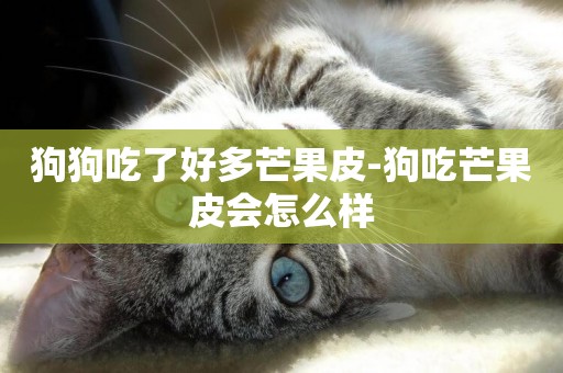 狗狗吃了好多芒果皮-狗吃芒果皮會怎么樣