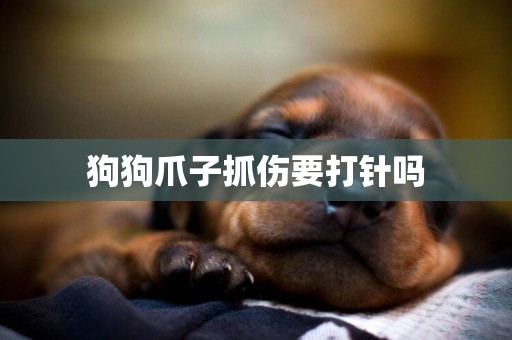 狗狗爪子抓傷要打針嗎