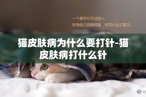貓皮膚病為什么要打針-貓皮膚病打什么針