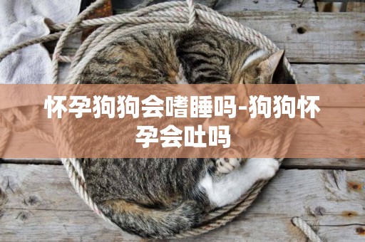 懷孕狗狗會嗜睡嗎-狗狗懷孕會吐嗎