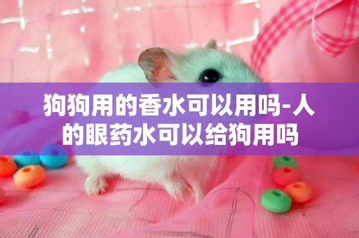 狗狗用的香水可以用嗎-人的眼藥水可以給狗用嗎