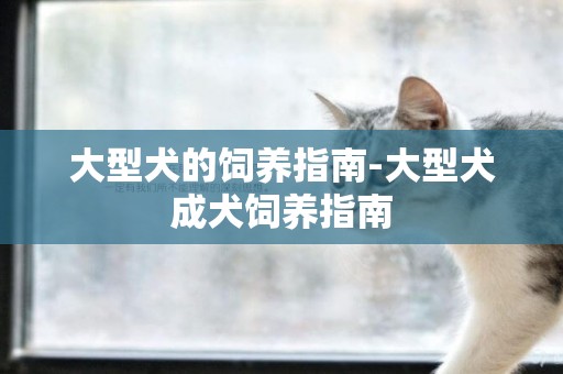 大型犬的飼養指南-大型犬成犬飼養指南