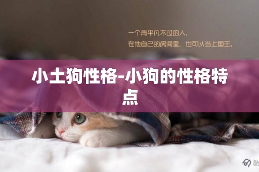 小土狗性格-小狗的性格特點