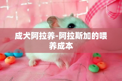 成犬阿拉養-阿拉斯加的喂養成本