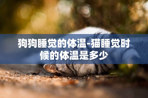 狗狗睡覺的體溫-貓睡覺時候的體溫是多少