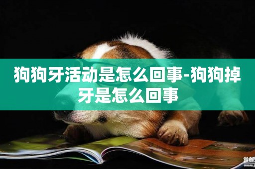 狗狗牙活動是怎么回事-狗狗掉牙是怎么回事