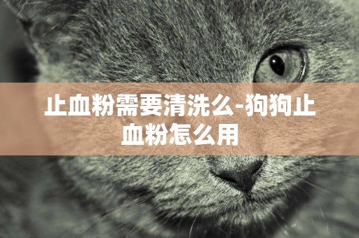 止血粉需要清洗么-狗狗止血粉怎么用