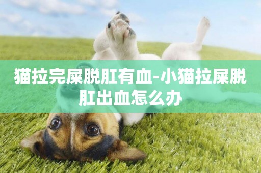 貓拉完屎脫肛有血-小貓拉屎脫肛出血怎么辦