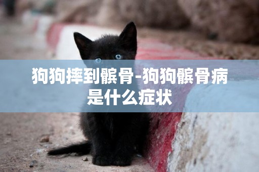 狗狗摔到髕骨-狗狗髕骨病是什么癥狀