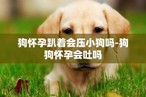 狗懷孕趴著會壓小狗嗎-狗狗懷孕會吐嗎