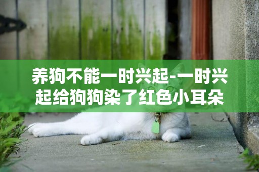 養狗不能一時興起-一時興起給狗狗染了紅色小耳朵