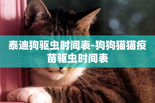 泰迪狗驅蟲時間表-狗狗貓貓疫苗驅蟲時間表