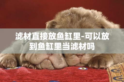 濾材直接放魚缸里-可以放到魚缸里當濾材嗎