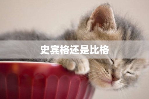 史賓格還是比格