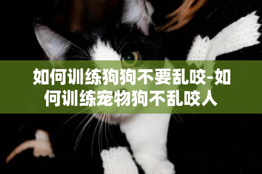 如何訓練狗狗不要亂咬-如何訓練寵物狗不亂咬人