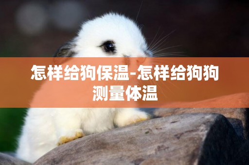 怎樣給狗保溫-怎樣給狗狗測量體溫