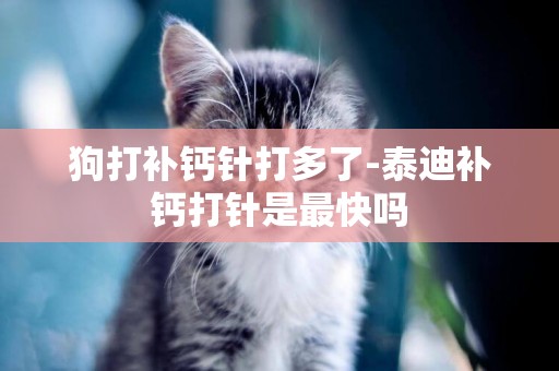 狗打補鈣針打多了-泰迪補鈣打針是最快嗎