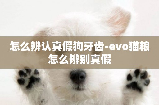 怎么辨認真假狗牙齒-evo貓糧怎么辨別真假