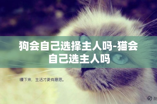 狗會自己選擇主人嗎-貓會自己選主人嗎