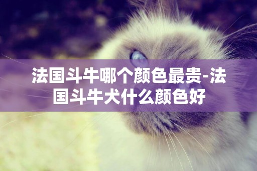法國斗牛哪個顏色最貴-法國斗牛犬什么顏色好