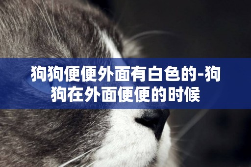 狗狗便便外面有白色的-狗狗在外面便便的時候