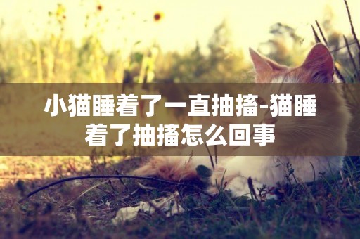 小貓睡著了一直抽搐-貓睡著了抽搐怎么回事