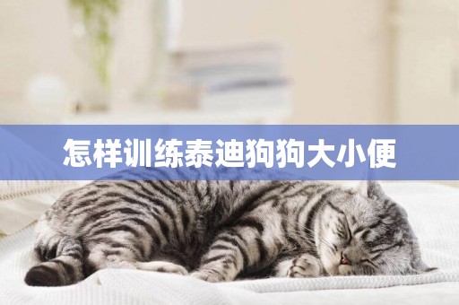 怎樣訓練泰迪狗狗大小便