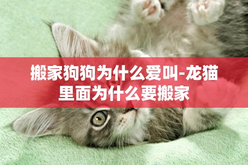 搬家狗狗為什么愛叫-龍貓里面為什么要搬家