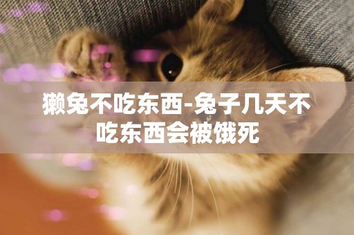 獺兔不吃東西-兔子幾天不吃東西會被餓死