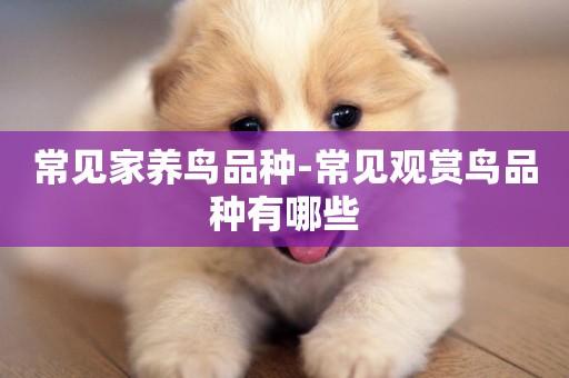 常見家養鳥品種-常見觀賞鳥品種有哪些