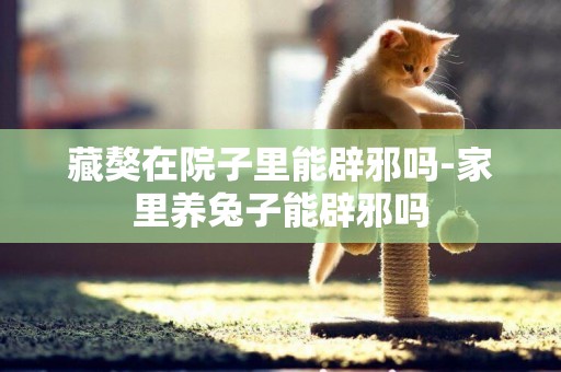 藏獒在院子里能辟邪嗎-家里養兔子能辟邪嗎