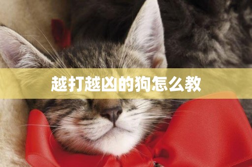越打越兇的狗怎么教