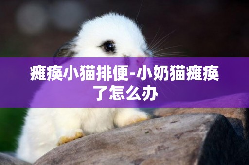 癱瘓小貓排便-小奶貓癱瘓了怎么辦
