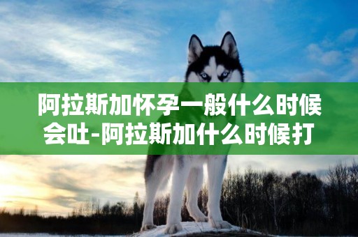 阿拉斯加懷孕一般什么時候會吐-阿拉斯加什么時候打針