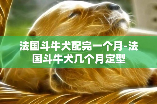 法國斗牛犬配完一個月-法國斗牛犬幾個月定型