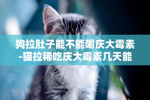 狗拉肚子能不能喝慶大霉素-貓拉稀吃慶大霉素幾天能好