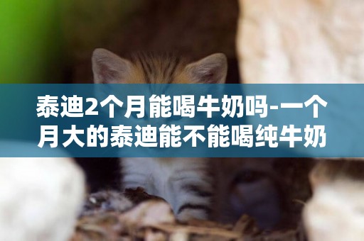 泰迪2個月能喝牛奶嗎-一個月大的泰迪能不能喝純牛奶