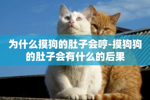 為什么摸狗的肚子會哼-摸狗狗的肚子會有什么的后果