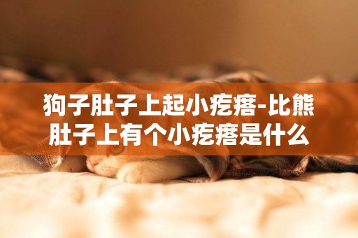 狗子肚子上起小疙瘩-比熊肚子上有個小疙瘩是什么