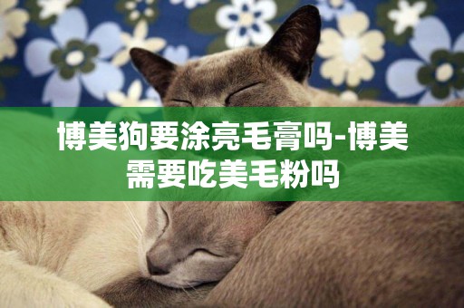 博美狗要涂亮毛膏嗎-博美需要吃美毛粉嗎