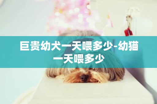 巨貴幼犬一天喂多少-幼貓一天喂多少