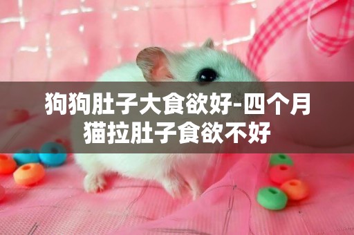 狗狗肚子大食欲好-四個月貓拉肚子食欲不好