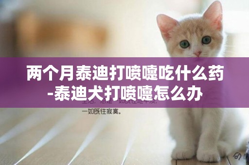 兩個月泰迪打噴嚏吃什么藥-泰迪犬打噴嚏怎么辦