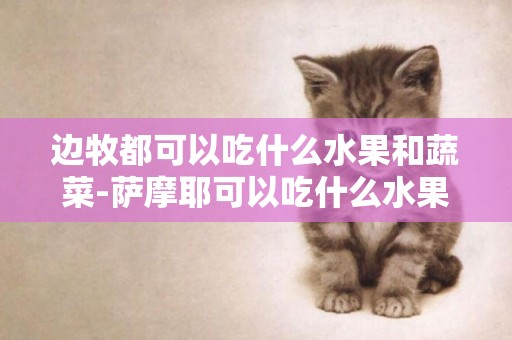 邊牧都可以吃什么水果和蔬菜-薩摩耶可以吃什么水果和蔬菜